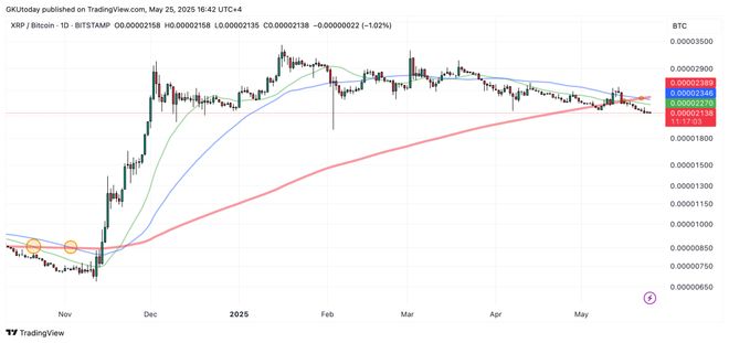 马斯克再次发推，比特币瞬间上上扬XRP%！的简单介绍